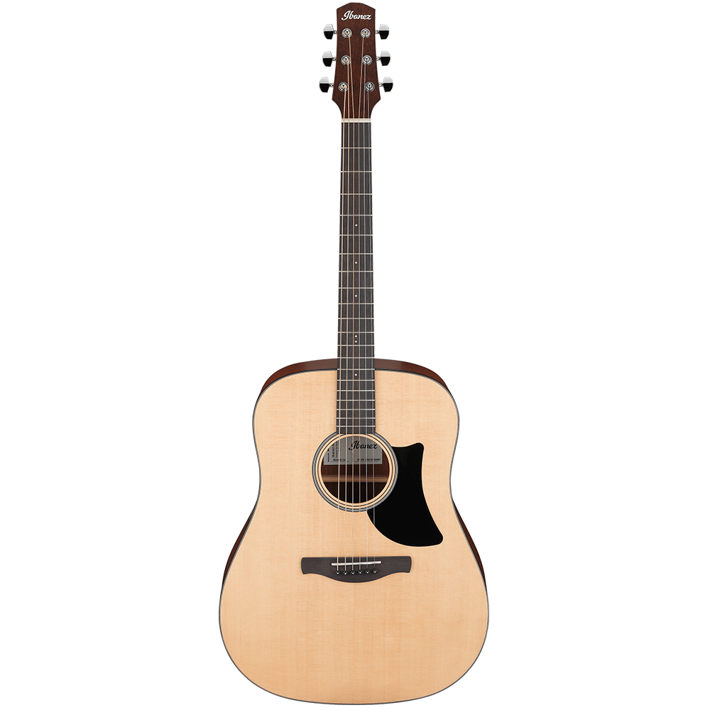 Ibanez Acoustic Guitar ADVANCED Series AAD50 LG 16th Audio