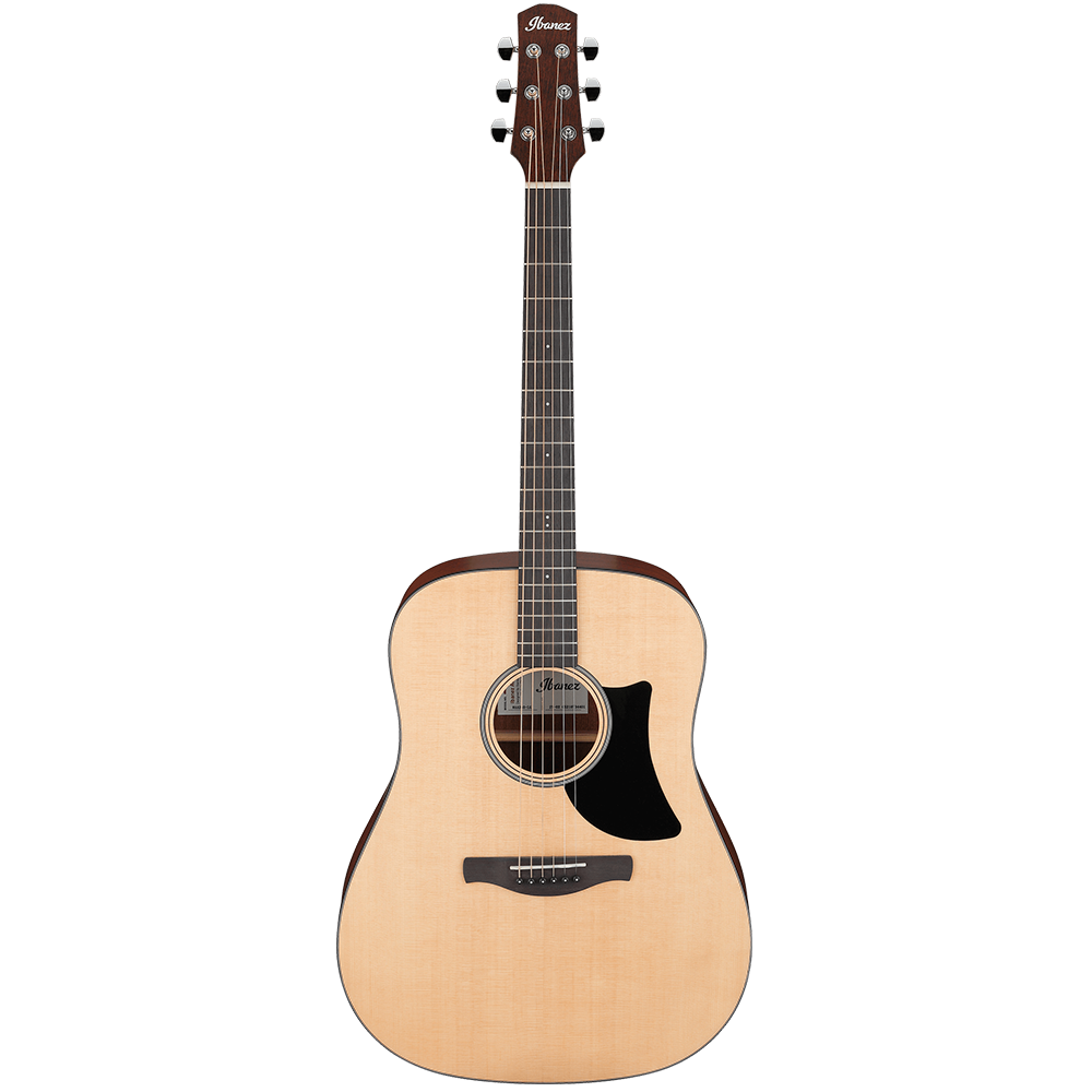 Ibanez Acoustic Guitar ADVANCED Series AAD50 LG