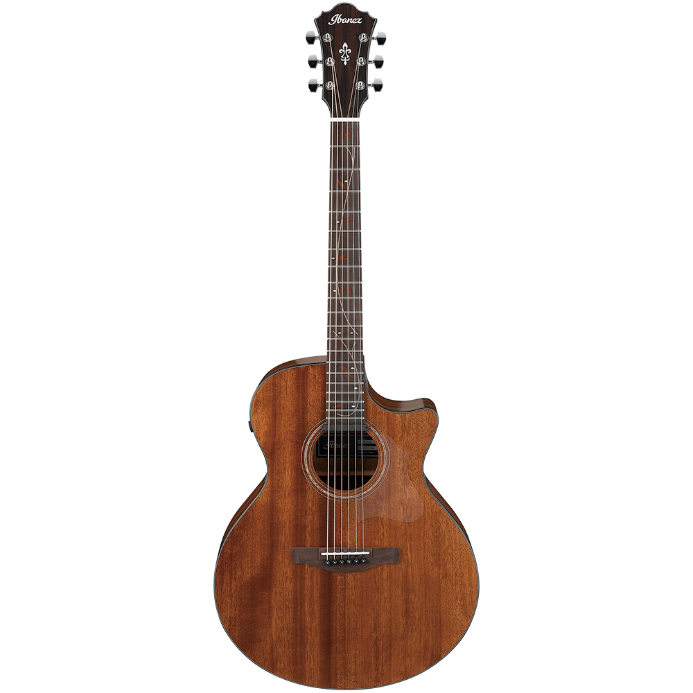 Ibanez AE Series AE295 LGS Acoustic Guitar