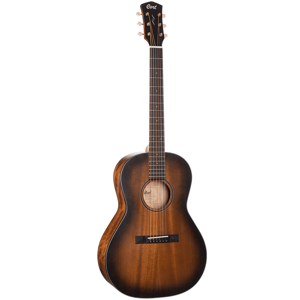 CORE-PE AMH-OPBB Semi Acoustic Guitar