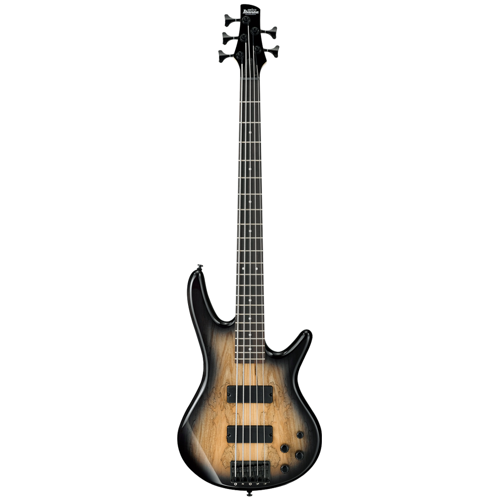 Ibanez SR Series GSR205SM NGT Bass Guitar
