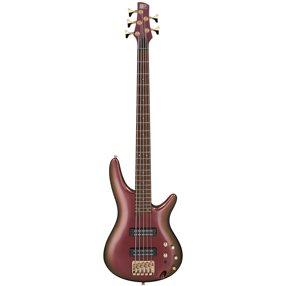 Ibanez SR Series SR305EDX RGC Bass Guitar