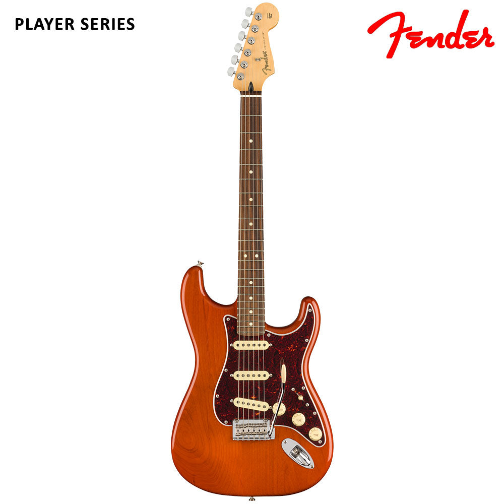 Fender Player LTD Stratocaster Aged Natural Pau Ferro