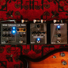 Load image into Gallery viewer, PRS Horsemeat Overdrive Pedal Black

