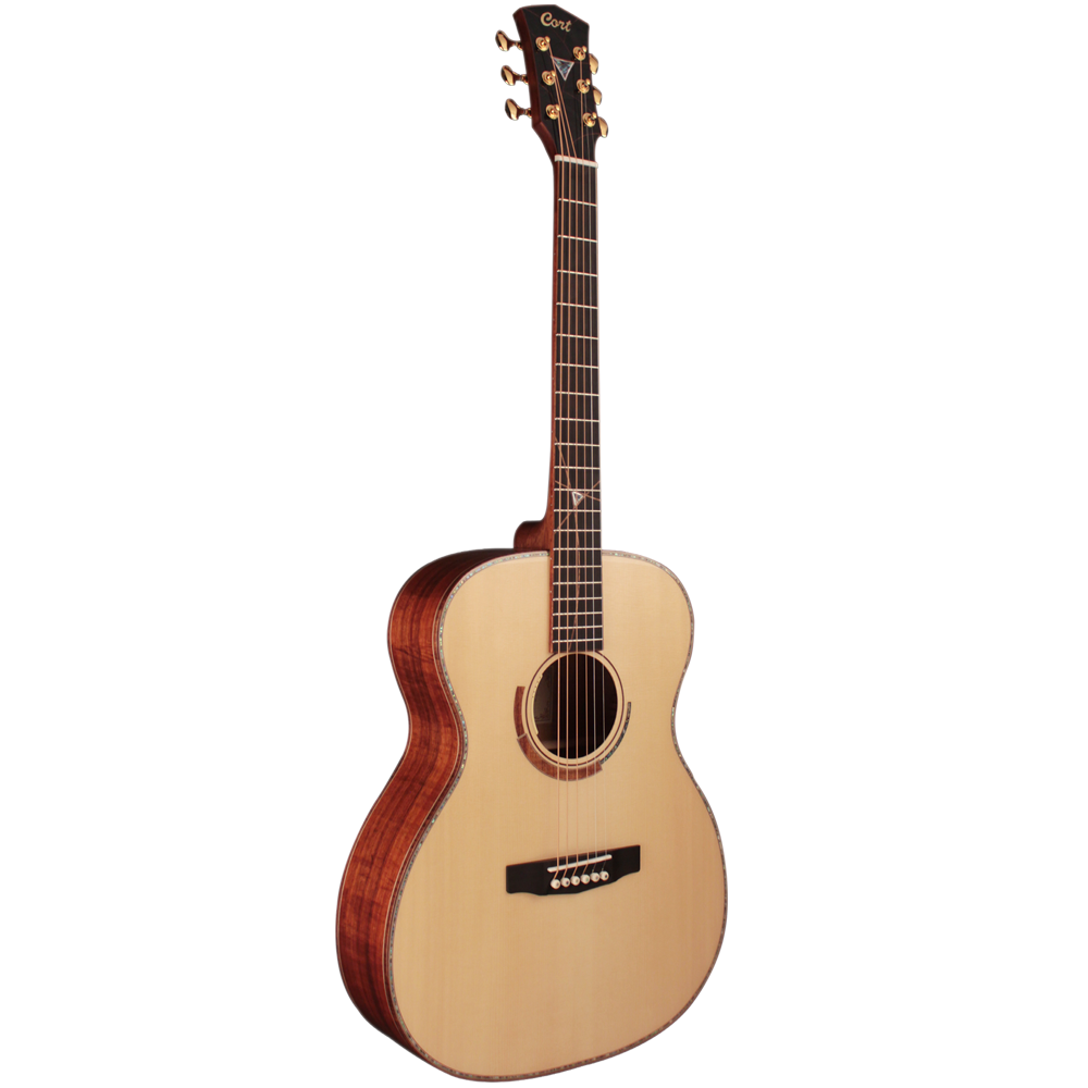 Cort Abstract Ltd Semi Acoustic Guitar