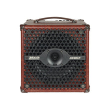 Load image into Gallery viewer, DV Mark AC 801P ACC125012Z Combo Amp
