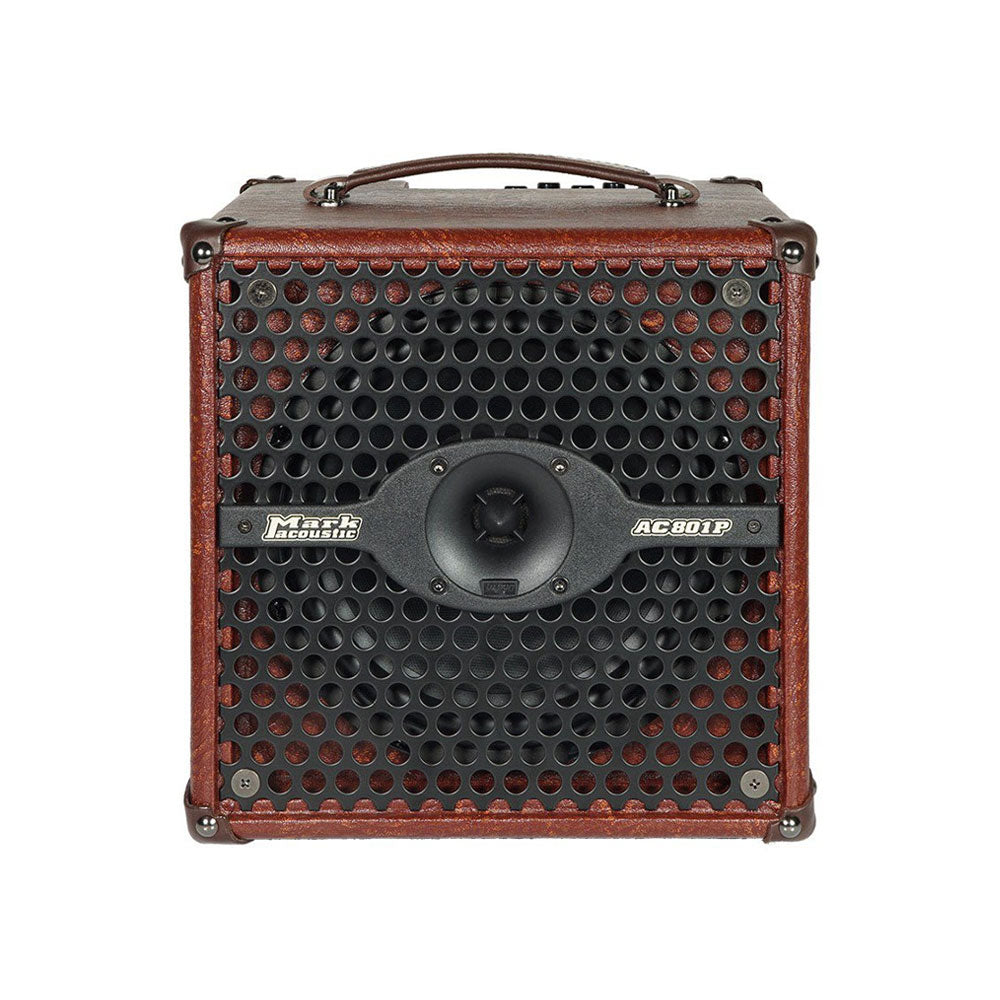 DV Mark AC 801P ACC125012Z Combo Amp