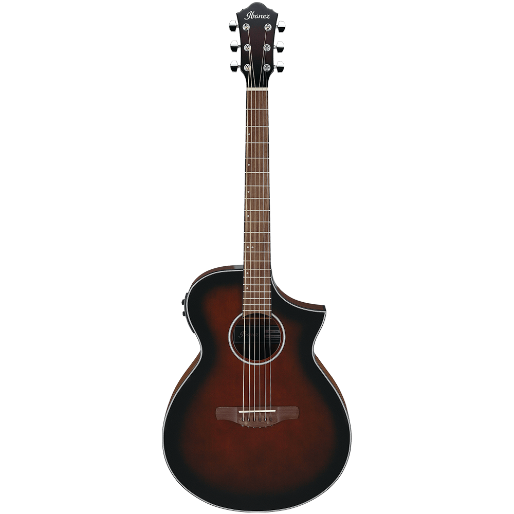 Ibanez AEWC Series AEWC11 Semi Acoustic Guitar
