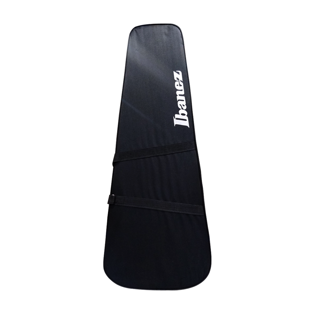 Ibanez F10EG Styrofoam Case