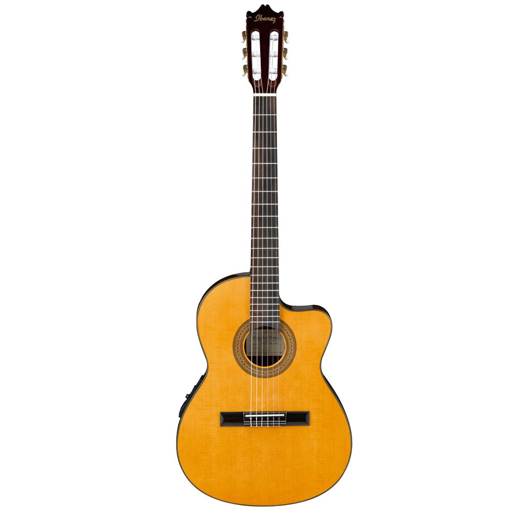 Ibanez GA5TCE AM Classical Guitar