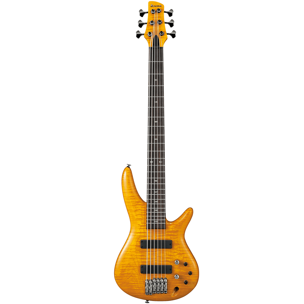 Ibanez GVB1006 AM Bass Guitar
