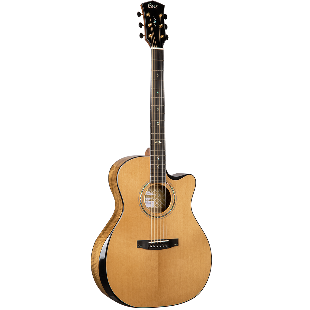 Cort GOLD EDGE LE Semi Acoustic Guitar