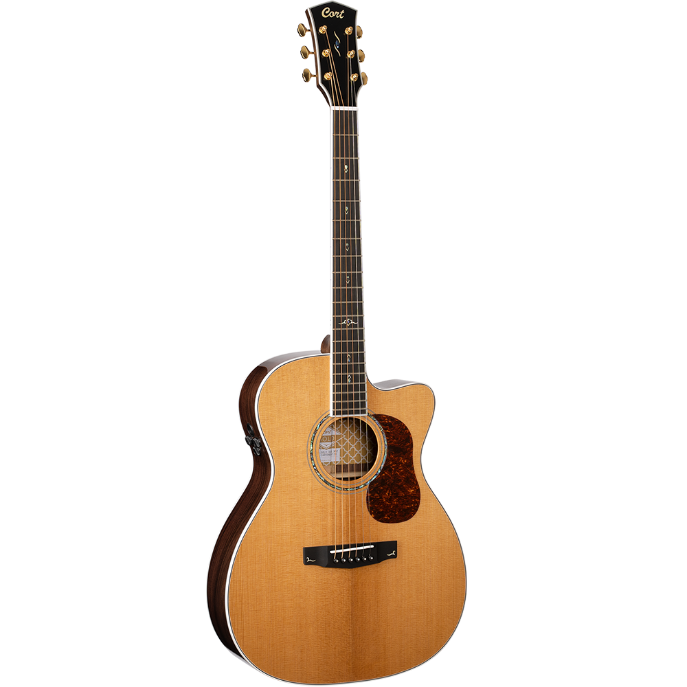 Cort Gold OC8 Semi Acoustic Guitar