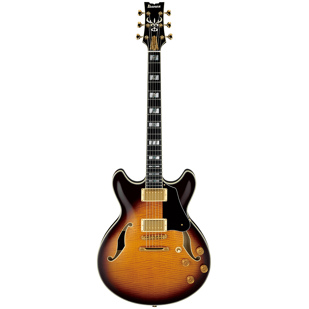 Ibanez JSM200 VS Hollow Body Electric Guitar