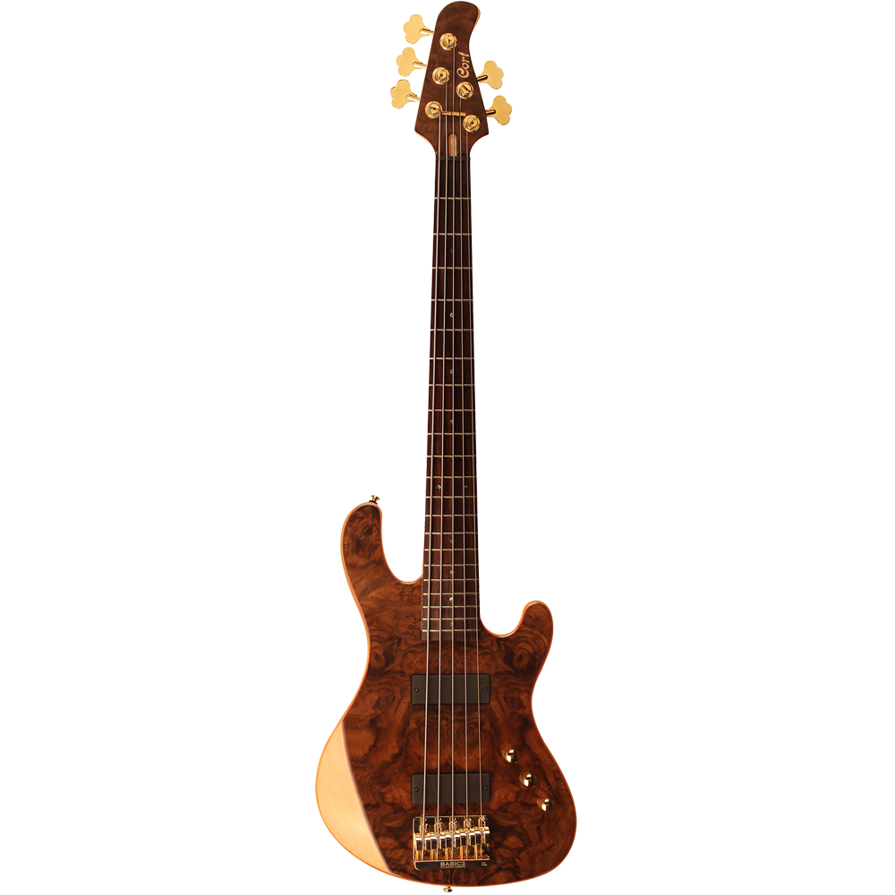 Cort RITHIMIC V NAT Bass Guitar