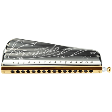 harmonica adulte Performance Professionnelle D'harmonica Chromatique 16  Trous Avec Peigne En Laiton (Color : Silver Key Db) : :  Instruments de musique et Sono