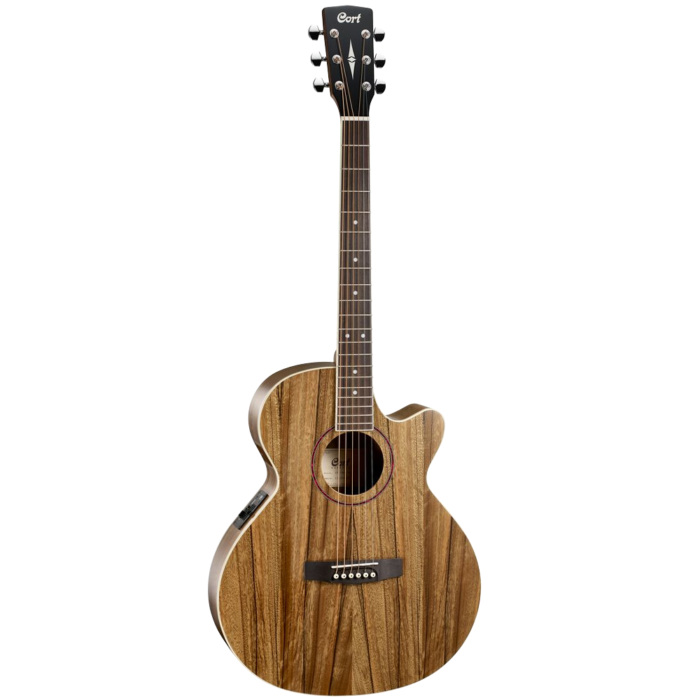 Cort SFX DAO NAT Semi Acoustic Guitar